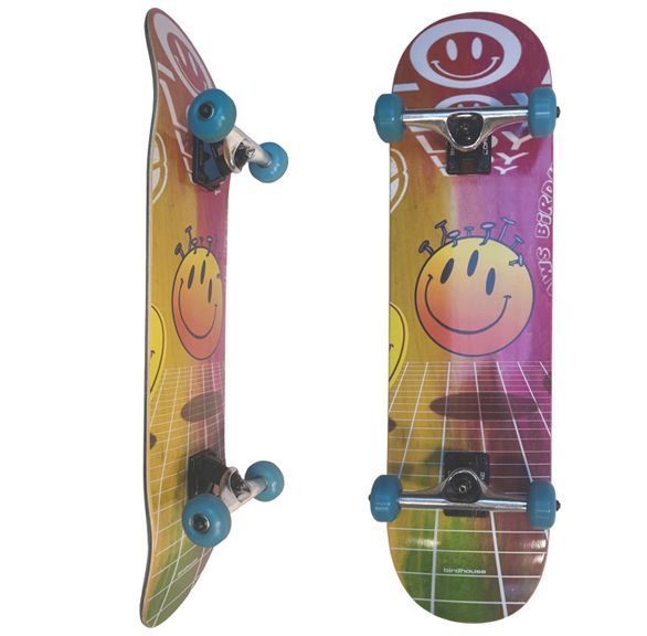 Birdhouse Skateboard, Loy Ravers 8.25 Komplett
