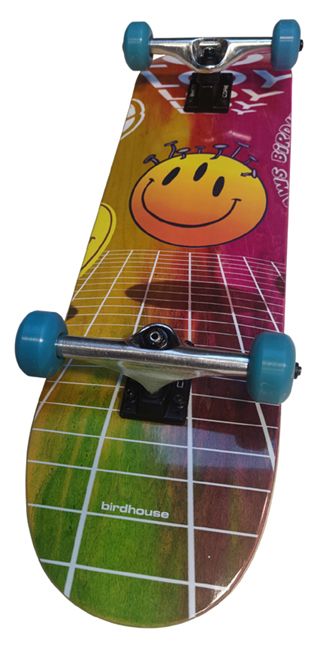 Birdhouse Skateboard, Loy Ravers 8.25 Komplett