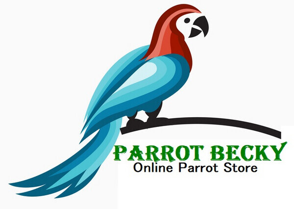ParrotBecky Store