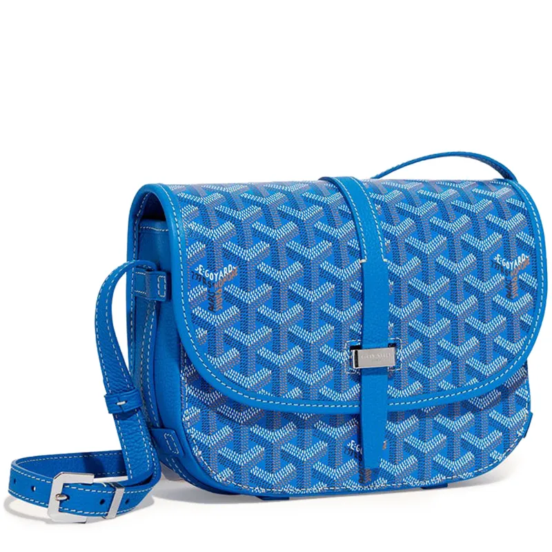 Goyard bag