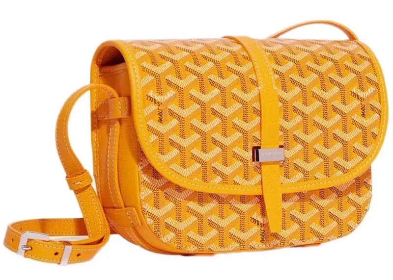 Goyard bag
