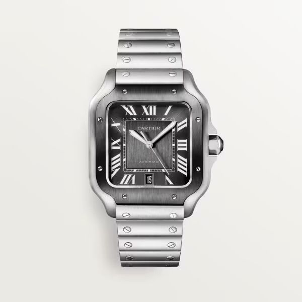 Cartier watch
