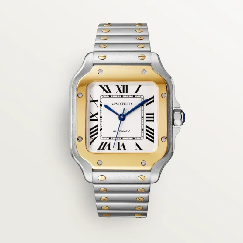 Cartier watch