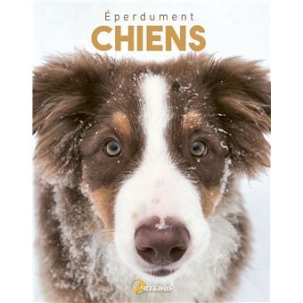 Eperdument chien