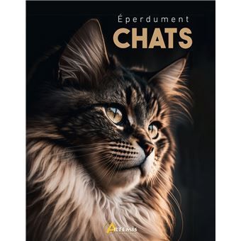 Eperdument chat
