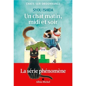 Un chat matin, midi et soir