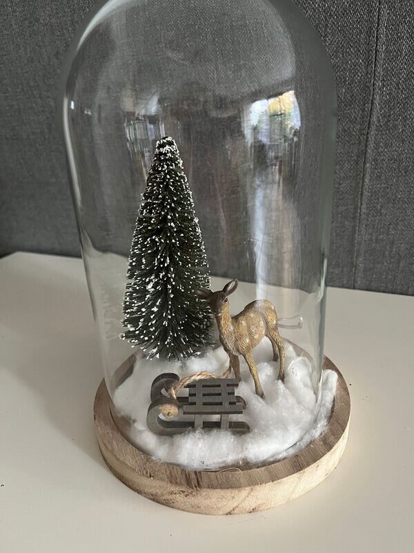 winterliche Glashaube