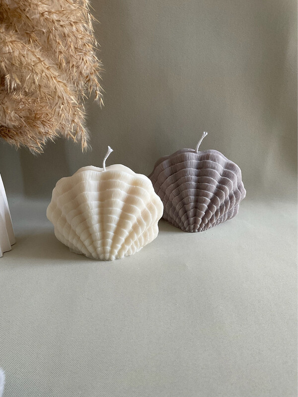 Kammmuschel Kammmuschel