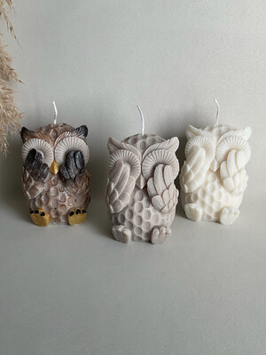 Augenzuhaltende Eule Augenzuhaltende Eule