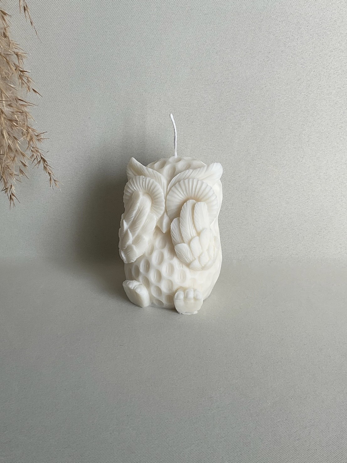 Augenzuhaltende Eule