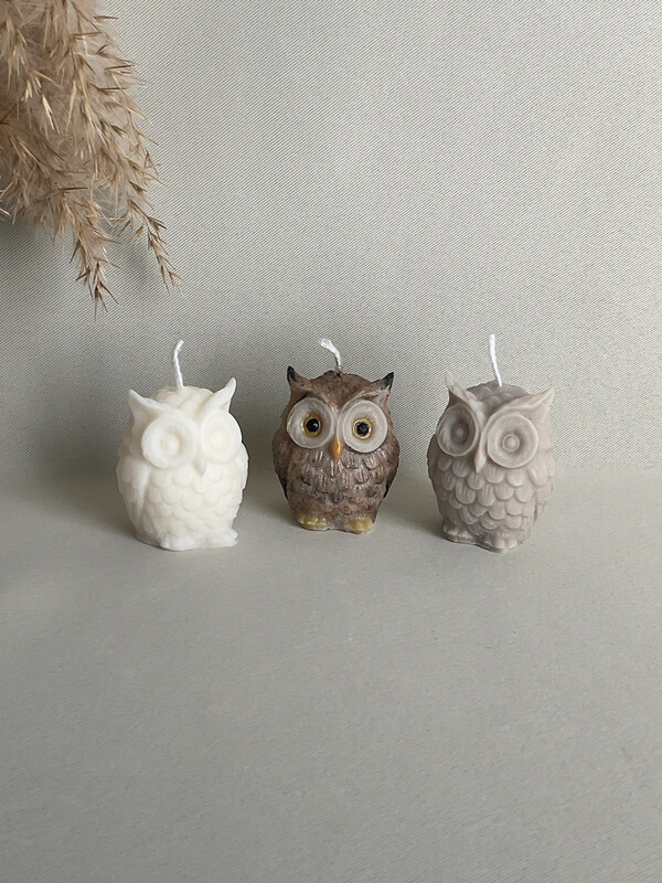 Kleine Eule Kleine Eule