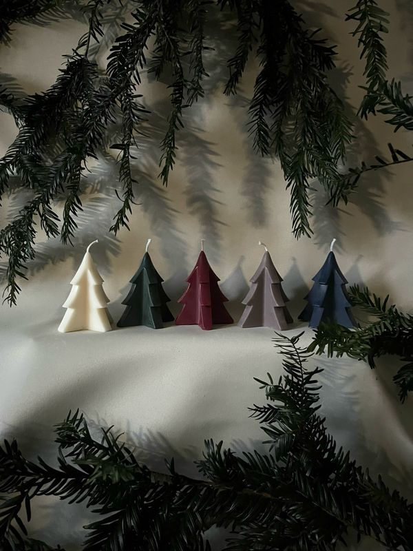 Kleine schwedische Tanne