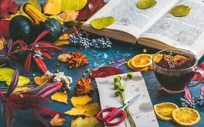Bücher für Erwachsene