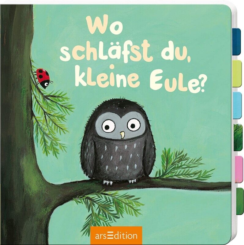 Wo schläfst du, kleine Eule? Pappbilderbuch