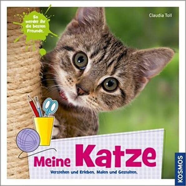 Meine Katze Gebundene Ausgabe von Claudia Toll