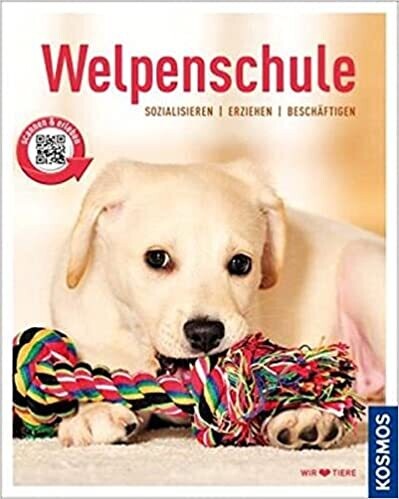 Welpenschule: Sozialisieren, Erziehen, Beschäftigen, R. Jones