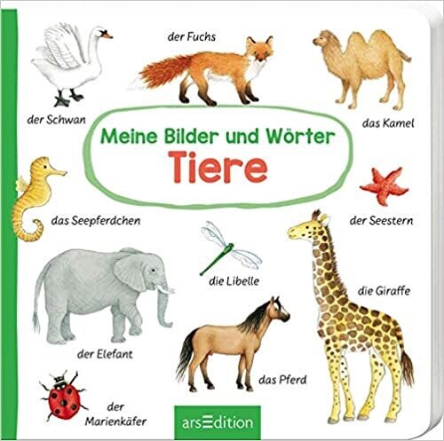 Meine Bilder und Wörter: Meine Bilder und Wörter - Tiere , B. Jelenkovich
