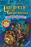 Achterbahn ins Abenteuer (Labyrinth der Geheimnisse) Bornstädt