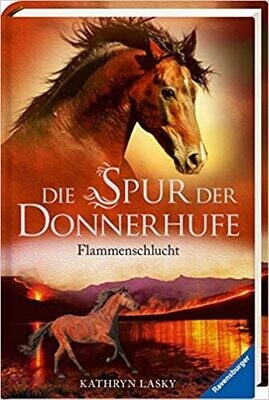 Die Spur der Donnerhufe 1: Flammenschlucht Die Spur der Donnerhufe 1: Flammenschlucht