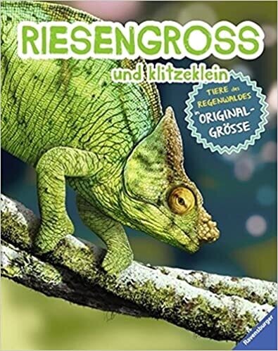 RIESENGROSS und klitzeklein: Tiere des Regenwaldes RIESENGROSS und klitzeklein: Tiere des Regenwaldes