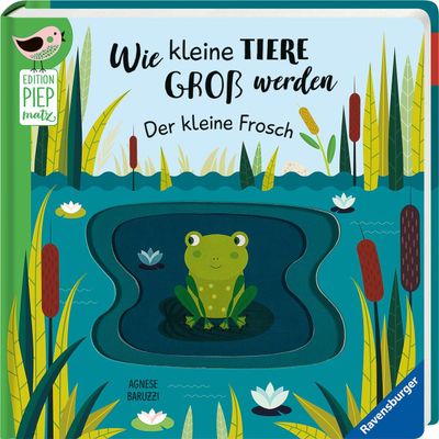 Edition Piepmatz: Wie kleine Tiere groß werden: Der kleine Frosch Edition Piepmatz: Wie kleine Tiere groß werden: Der kleine Frosch