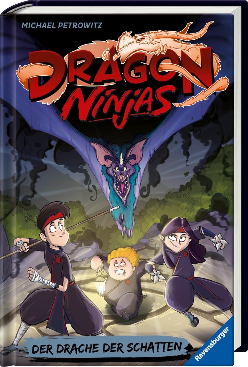 Dragon Ninjas, Band 5 - Der Drache der Schatten