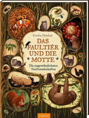 Das Faultier und die Motte: Die ungewöhnlichsten Tierfreundschaften