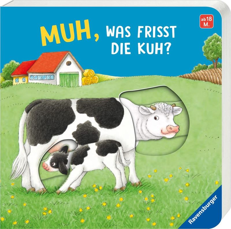 Mein erstes Ampel-Buch: Mit Klappen und Schiebern, Susanne Gernhäuser Mein erstes Ampel-Buch: Mit Klappen und Schiebern, Susanne Gernhäuser