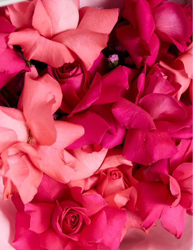 CLEO FRISCHBLUMENSTRAUß (aufgefaltete Rosen)