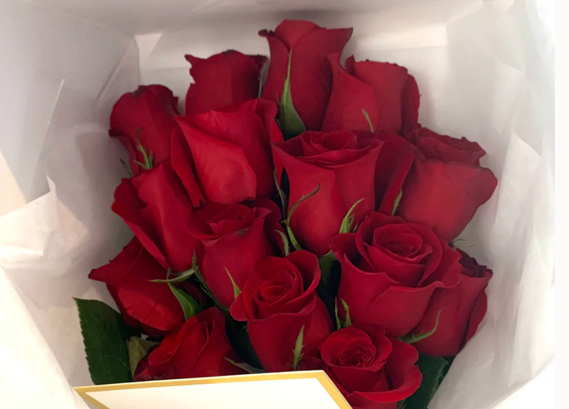 ALLIYAH (nicht aufgefaltete rote Rosen)