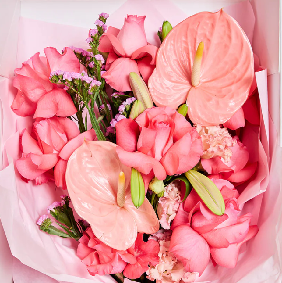 COCO / Größe frei wählbar