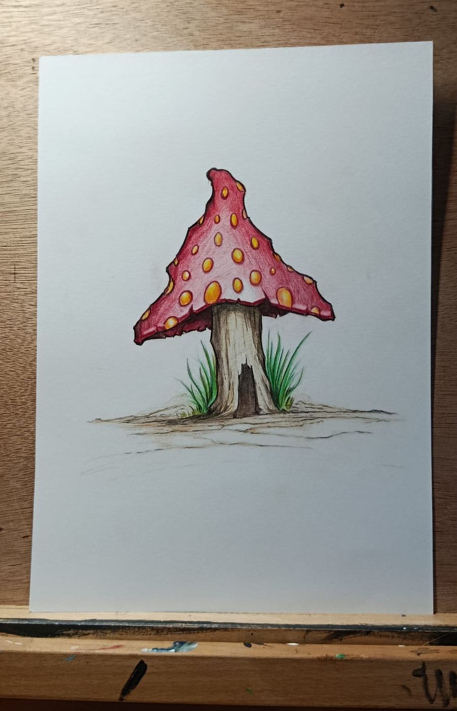 MUSHROOM HOUSE 1 A4 colour pencils.