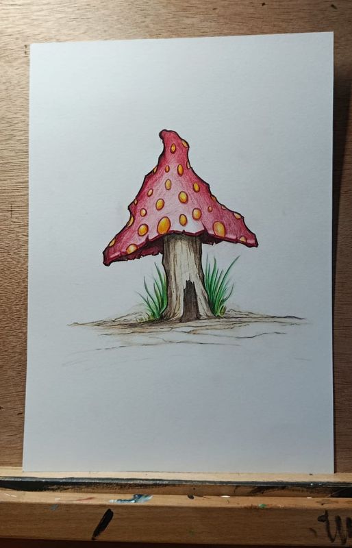 MUSHROOM HOUSE 1 A4 colour pencils. MUSHROOM HOUSE 1 A4 colour pencils.