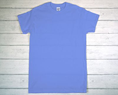 CUSTOM PRINTED GILDAN T-SHIRT Carolina Blue (as low as)