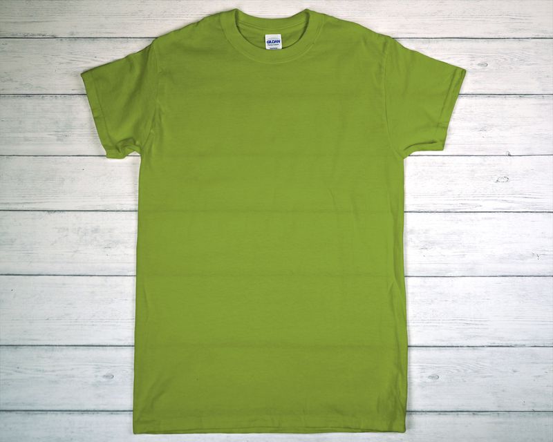 CUSTOM PRINTED GILDAN T-SHIRT Kiwi