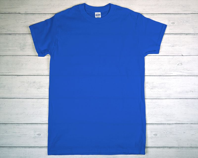 CUSTOM PRINTED GILDAN T-SHIRT Royal
