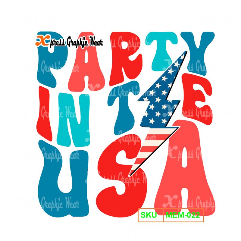 Party In The USA