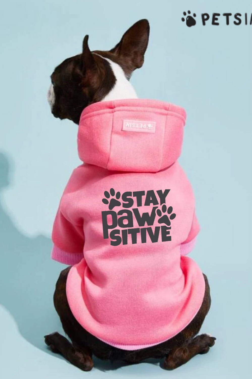Stay PAWsitive - Pet Hoodie
