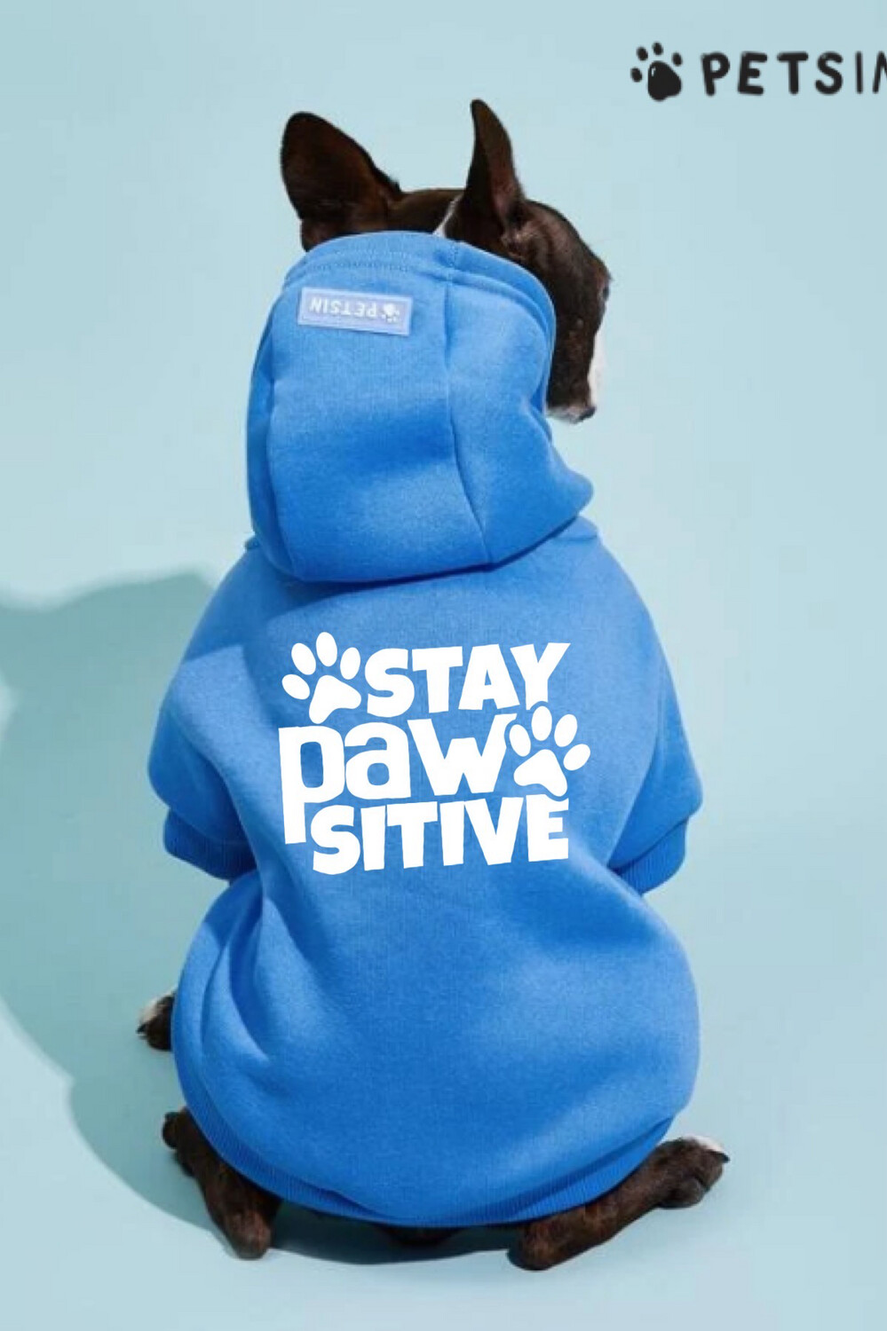 Stay PAWsitive - Pet Hoodie