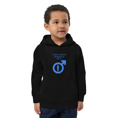 Kids eco hoodie Perfect boy