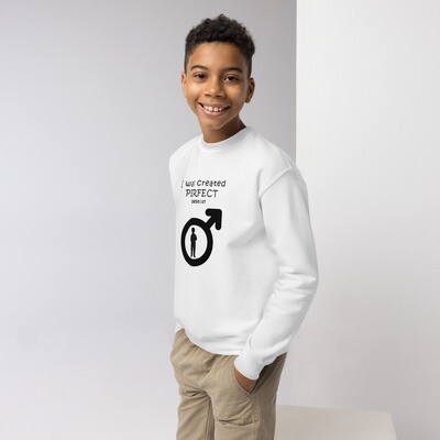 Youth crewneck sweatshirt Perfect Boy (black font)