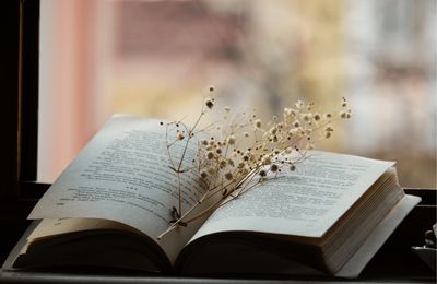 Blog