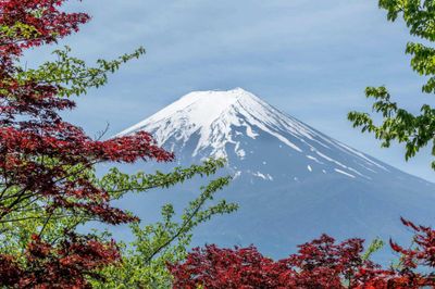 Relaxing Days in Mt. Fuji：Must-See Attractions and Travel Tips