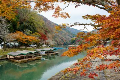 Enchanting Autumn in Japan: A Journey through Kyoto’s Arashiyama and Kiyomizu-dera, and Tokyo’s Meiji Jingu Gaien