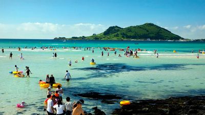 Jeju Island Travel Guide: Exploring Transportation Options for Car-Free Travel