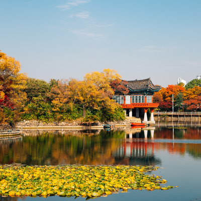 Daegu