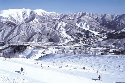 Japan Chubu Ski Luggage Transport Guide: A Complete Comparison of LuggAgent and Yamato Services