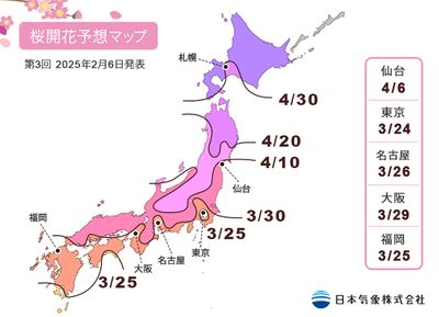 京都櫻花季行程大公開！行李特工讓你輕鬆盡情賞櫻