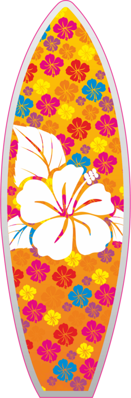Surf Multicolore
