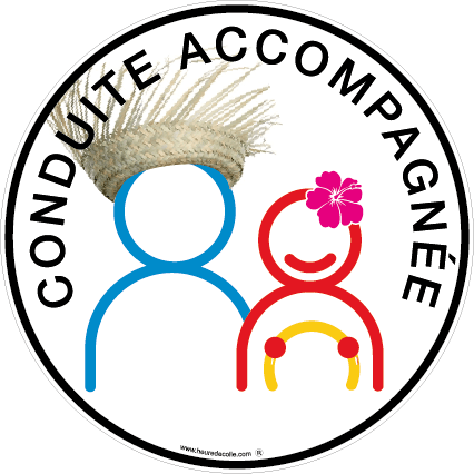 CONDUITE ACCOMPAGNÉE - Chapeau de paille & Hibiscus